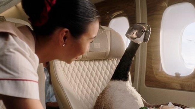 Emirates, Sevimli Kaz Gerry’nin yer aldığı “İyisiyle Uçun” kampanyasıyla başarılarına bir yenisini daha ekliyor