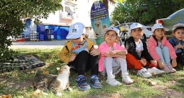 Sokak hayvanları Koruma gününde kedi evleri dağıtıldı