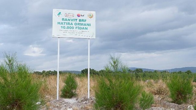 Banvit BRF Ormanı 40 bin ağaca ulaştı