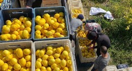 ŞOK Marketler deprem bölgesinde tarımı ve çiftçiyi destekliyor